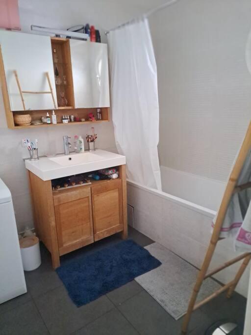 Appartement Cosy Avec Jardin Et Parking ジュヌヴィリエ エクステリア 写真